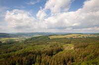 Lufaufnahme eines Waldes in der Solling-Vogler-Region